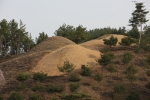 高霊池山洞古墳群（고령 지산동 고분군）