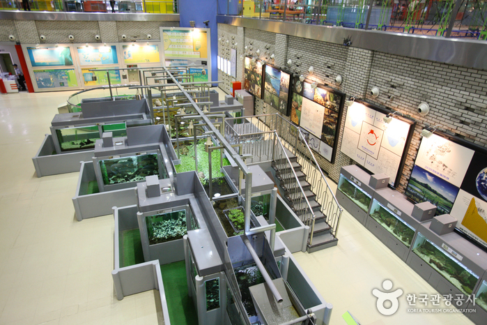 National Science Museum (국립중앙과학관)