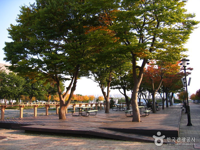 Expo Park (대전엑스포과학공원)