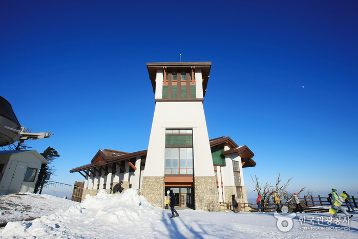 Ski-Resort Yongpyong (용평리조트 스키장)