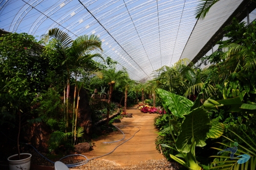Ewhawon Garden (이화원)