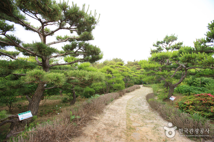 蔚山主題植物樹木園(울산테마식물수목원)