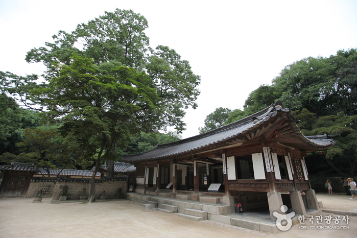 Changdeokgung Palace Complex [UNESCO World Heritage] (창덕궁과 후원 [유네스코 세계문화유산]) 