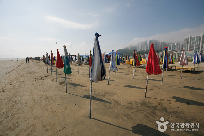Dadaepo Beach (다대포해수욕장)