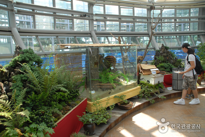 National Science Museum (국립중앙과학관)