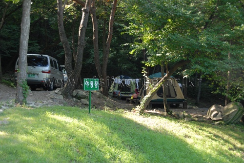 锦江自然休养林(锦江树木园，山林博物馆)금강자연휴양림(금강수목원,산림박물관)