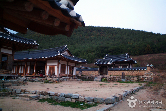 Nongam House (Head Household of the Nongam Descendants) (농암종택)