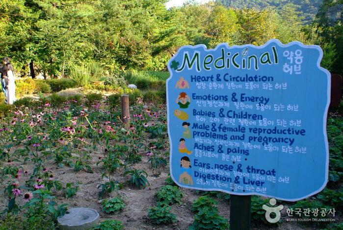 Herbnara Farm (허브나라농원)
