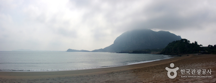 [제주올레 9코스] 대평-화순 올레4