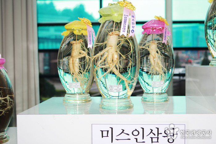 thumbnail-Geumsan Ginseng Museum (금산인삼관)-11