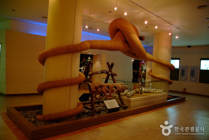 삼척시립박물관2