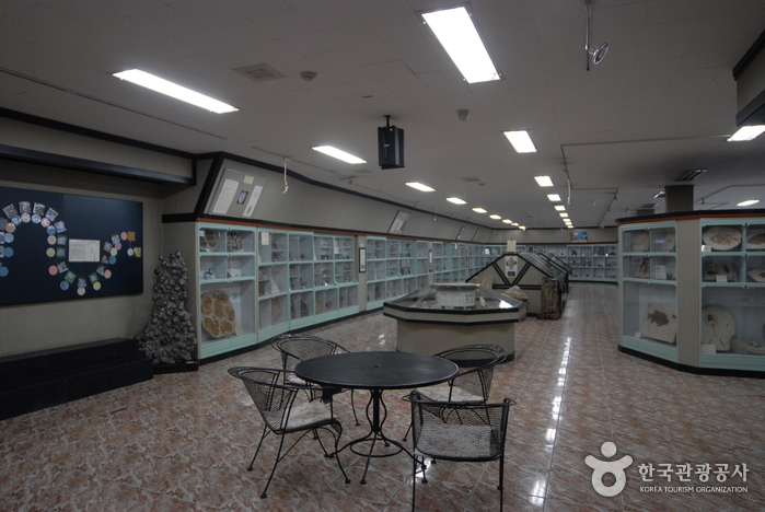 京辅化石博物馆(경보화석박물관)