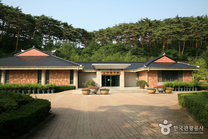 Anmyeondo Recreational Forest (안면도자연휴양림)