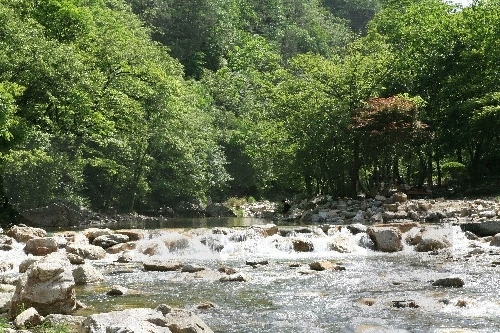 Seoksangyegok Valley (석산계곡)