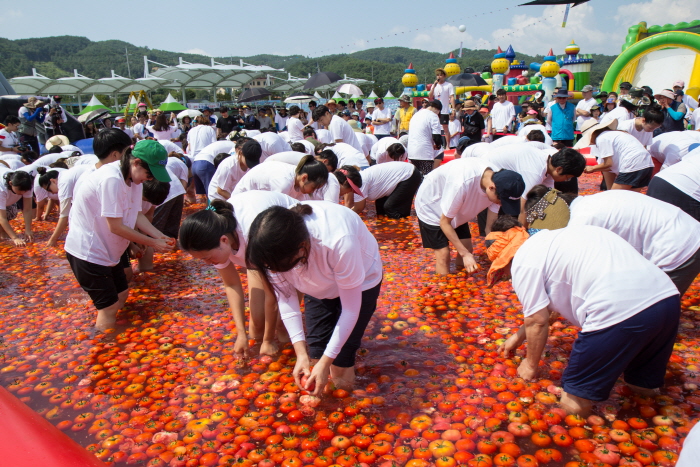 둔내고랭지토마토축제 2017 사진2
