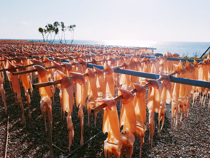 수산물페스티벌 20192