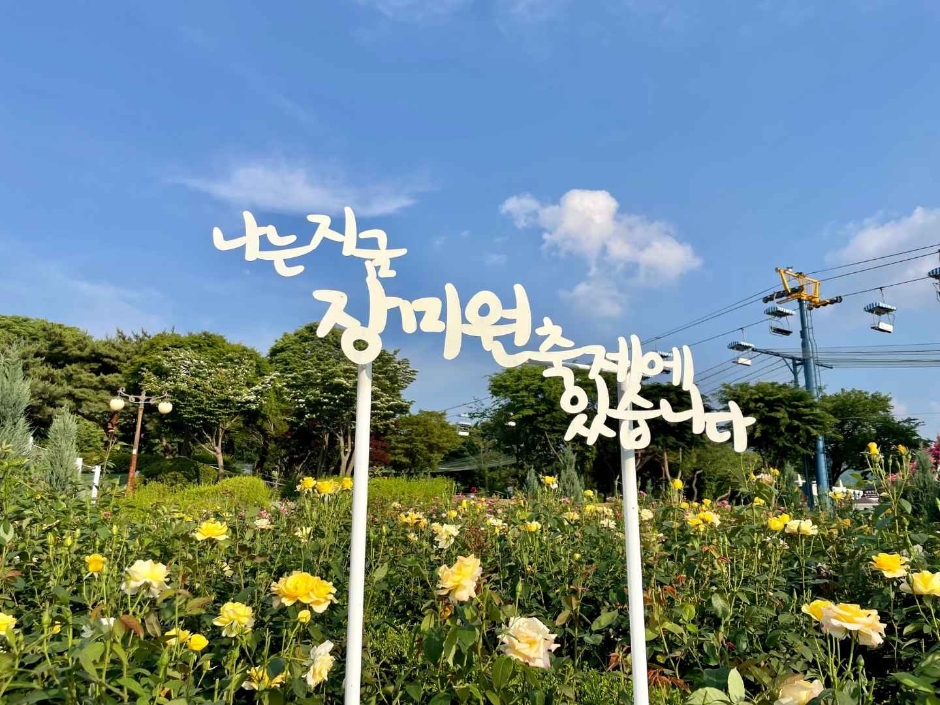 Festival del Rosedal del Gran Parque de Seúl (서울대공원 장미원 축제)