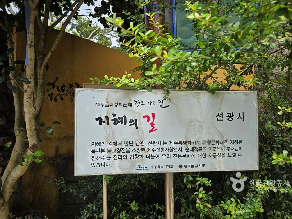 선광사(제주)