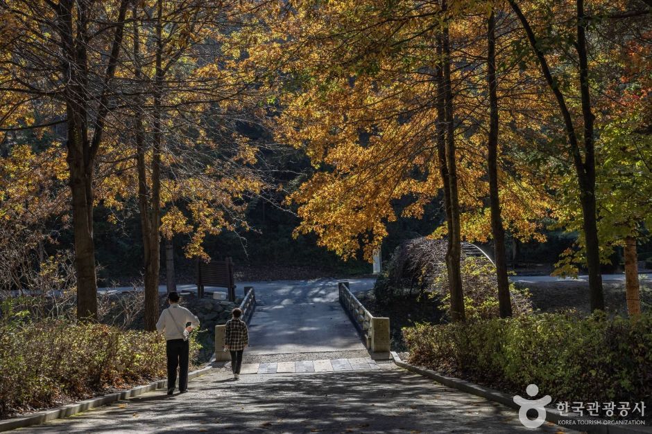 米東山樹木園(미동산수목원)