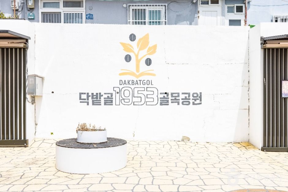 부산_닥밭골 벽화마을 (11)