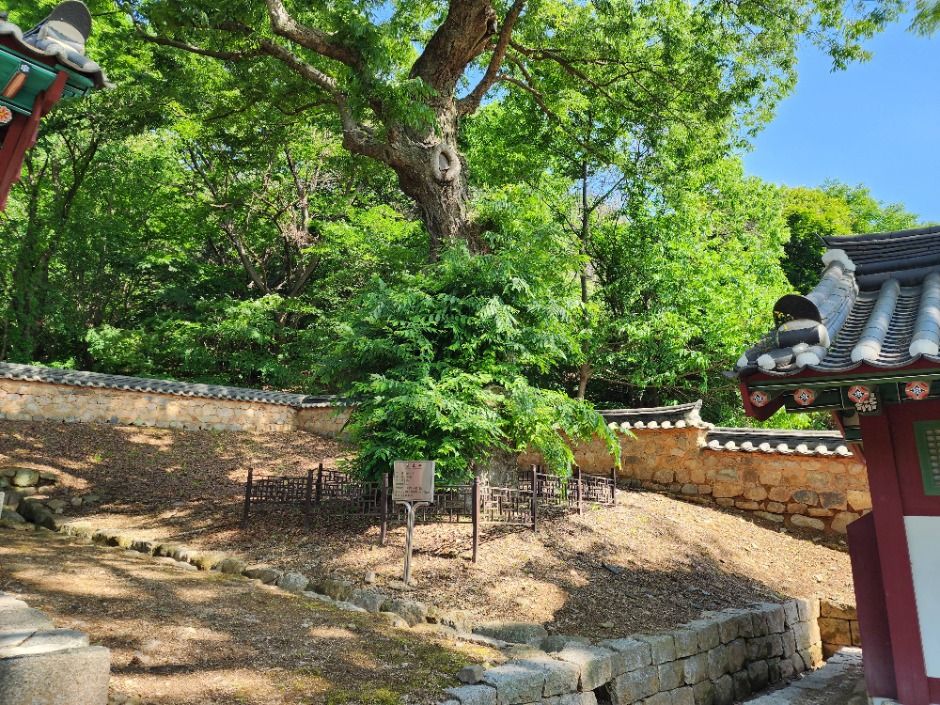 thumbnail-파주향교-20