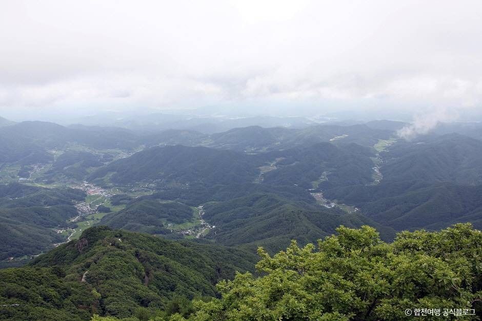 오도산