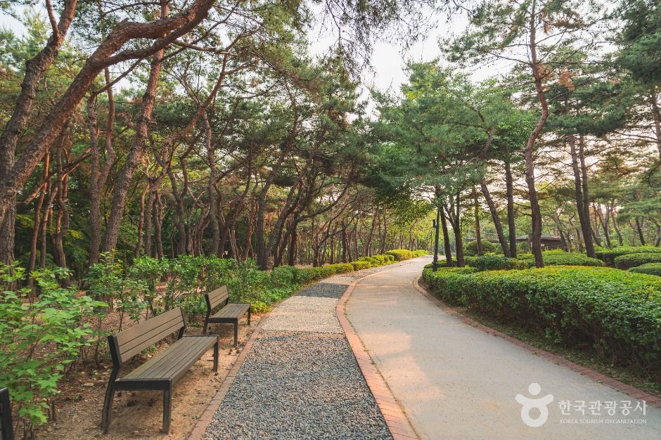 남산 야외식물원