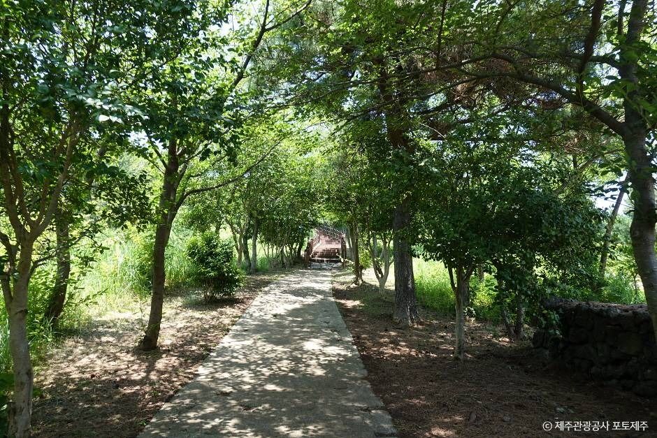 제주_도두봉 (1)
