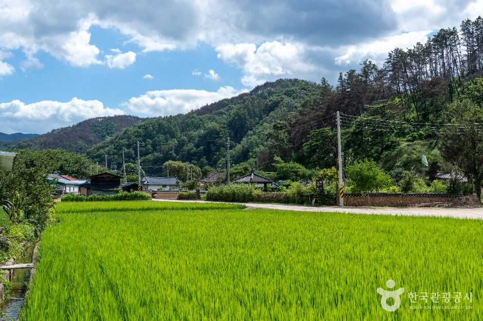 청송 덕천마을