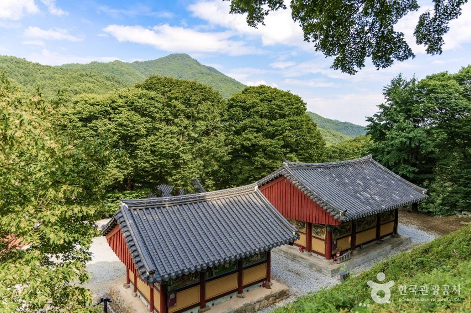 영주_비로사(영주) (2)