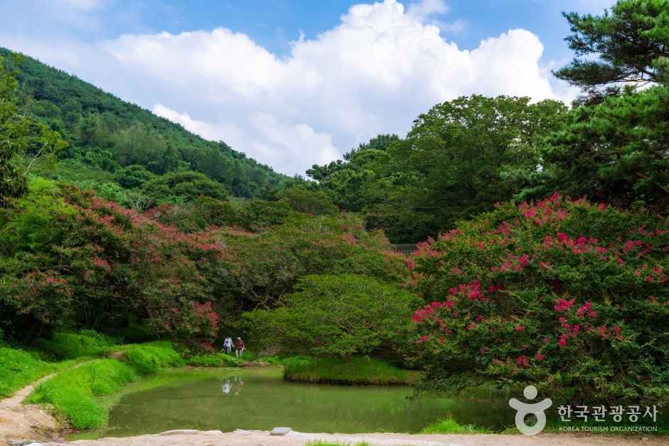 담양 명옥헌 원림 (3)