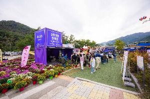 2025 인제가을꽃축제 8