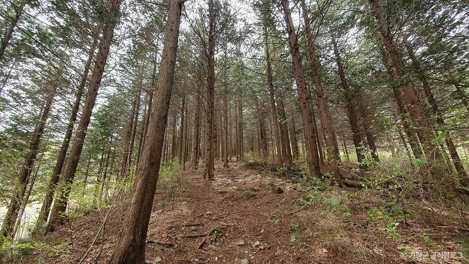 초롱이둥지마을