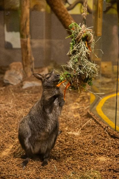 주렁주렁 경주점