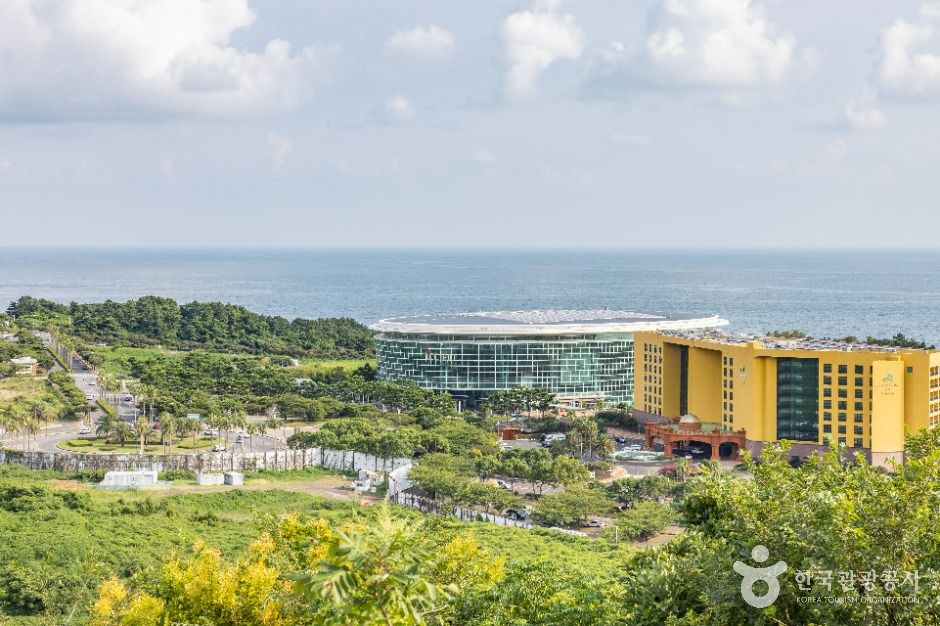 제주_베릿네오름 (5)