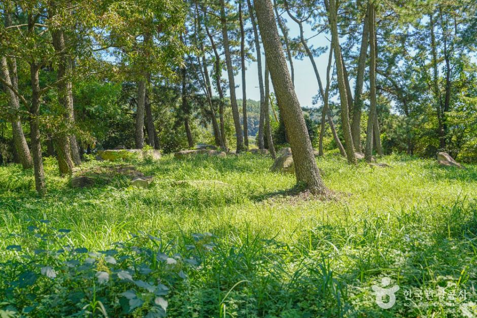 장흥 방촌리 지석묘군