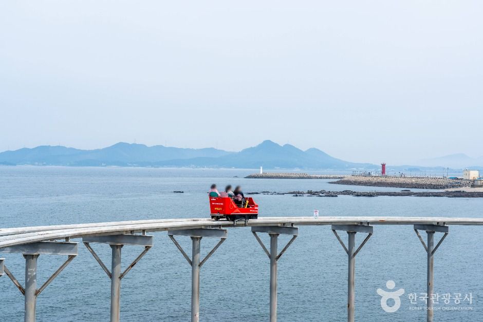 대천해수욕장 스카이바이크