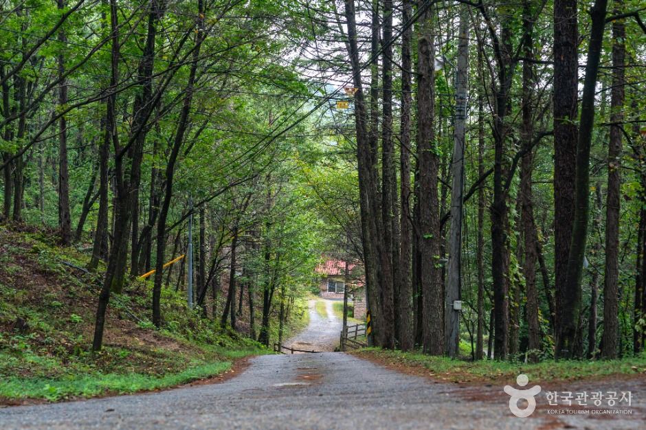 학가산자연휴양림