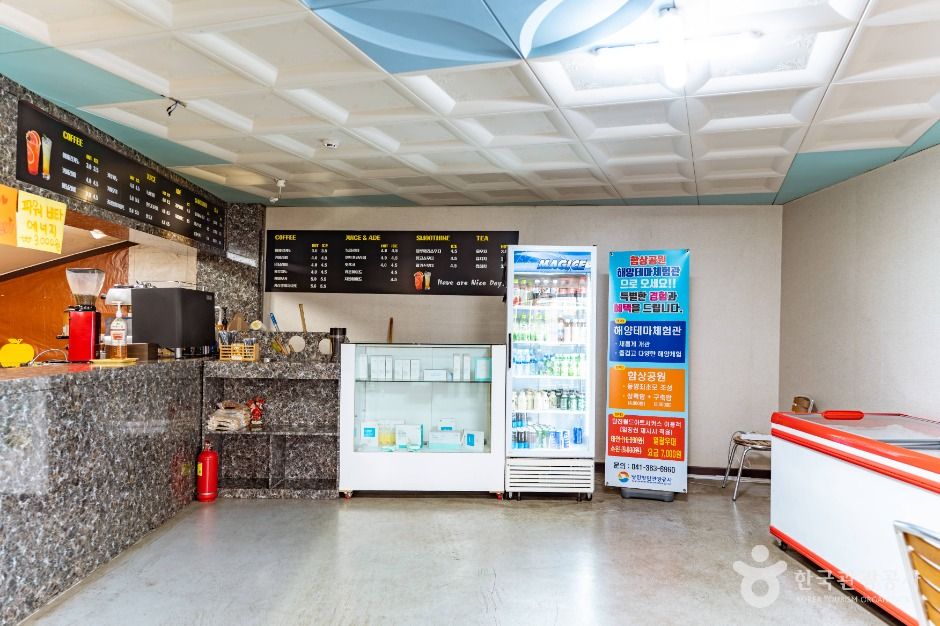 당진_당진 월드 아트 서커스(3)