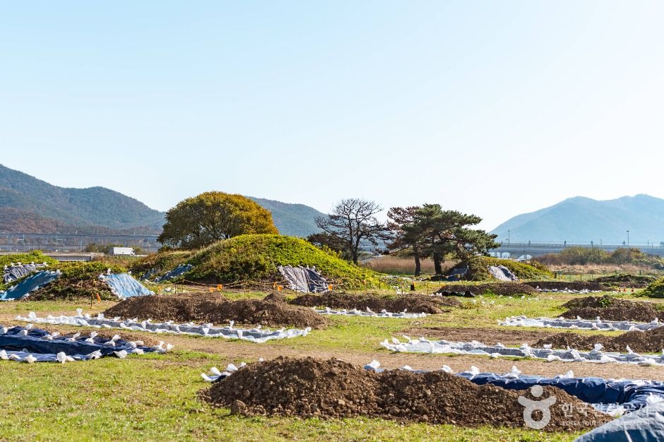 경주 금척리 고분군