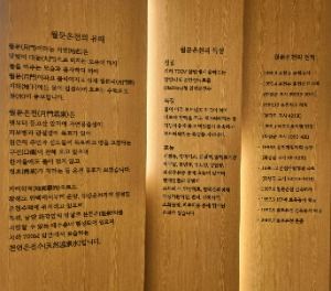 경기_화성_월문온천 휴양지 (7)