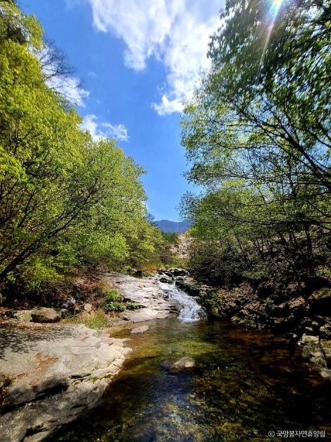 thumbnail-국망봉자연휴양림-4