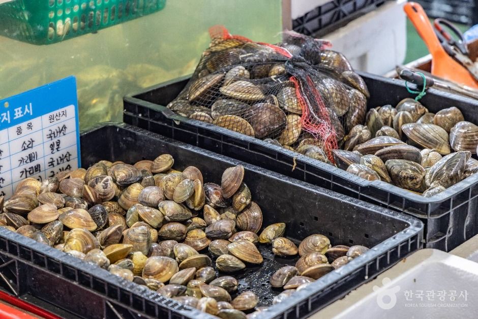 전주_전주시 농수산물도매시장 (8)