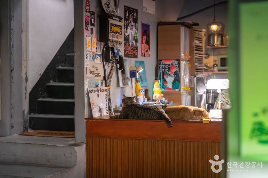 대구_심플책방 (8)