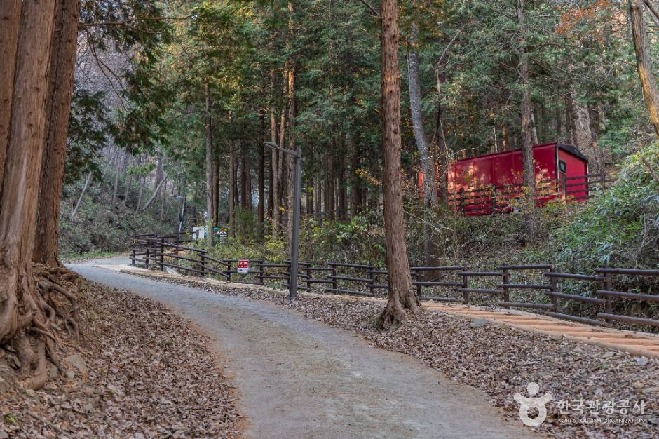 임실_왕의숲 국민여가캠핑장 (14)