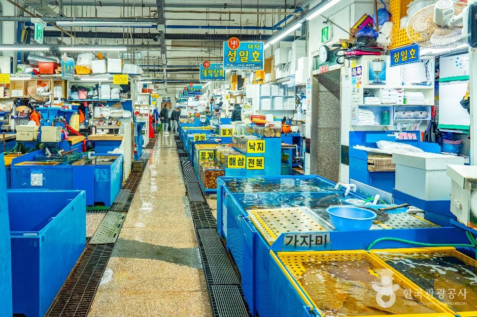 민락어민활어직판장