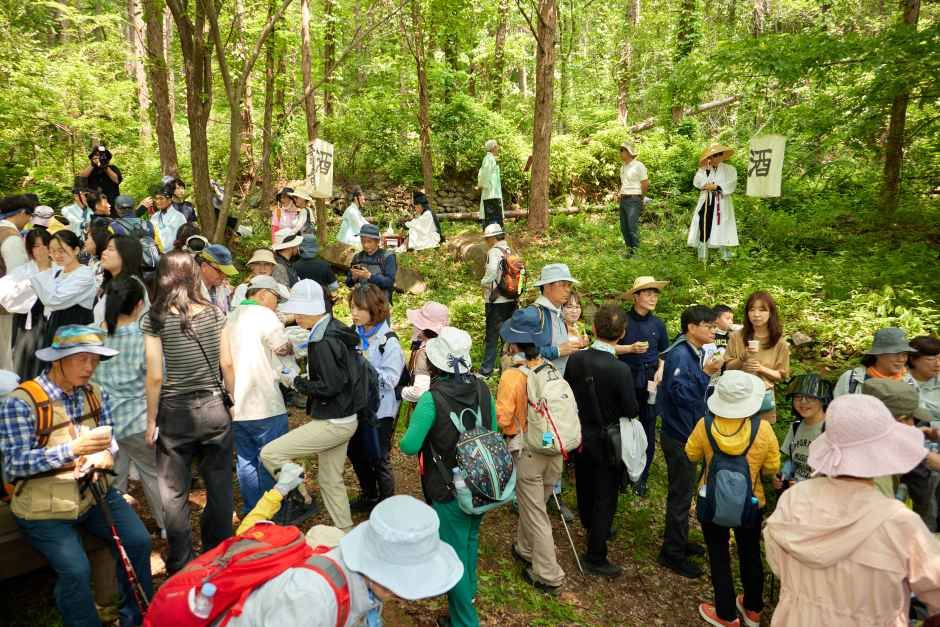 thumbnail-영주 소백산 철쭉제-4