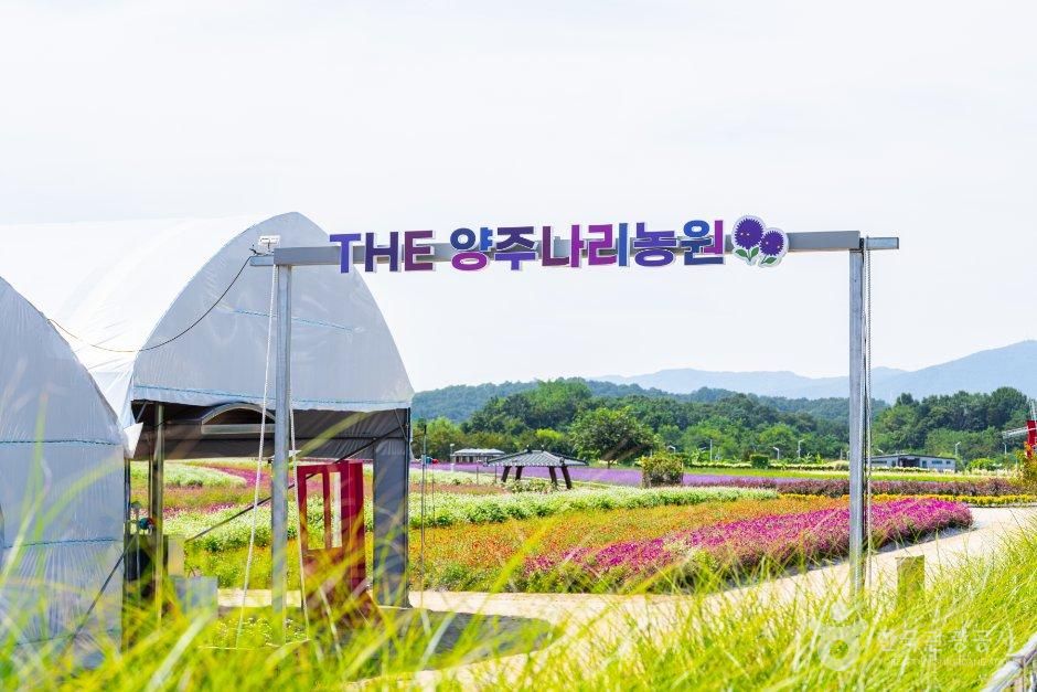 thumbnail-Nari Farm (나리농원)-14