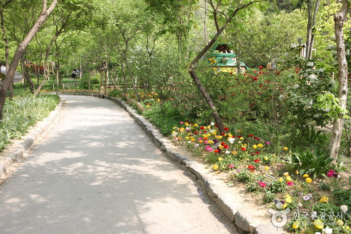 Hantaek Botanical Garden (한택식물원)