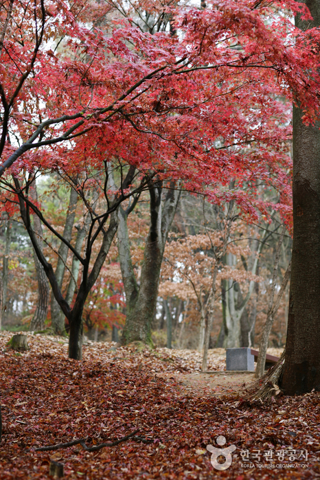Busosanseong Fortress of Buyeo (부여 부소산성)